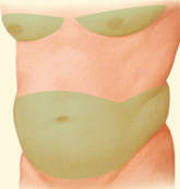 A male with a large stomach and green shading on the stomach area and breast area